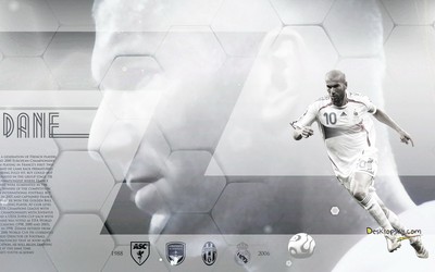 冠竞体育快讯-B席这默契十足