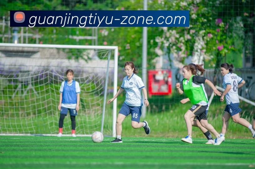 冠竞体育官网平台生态图